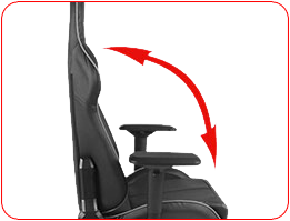 Кресло для геймеров DXRACER Iron OH/IA166/NW Black/White